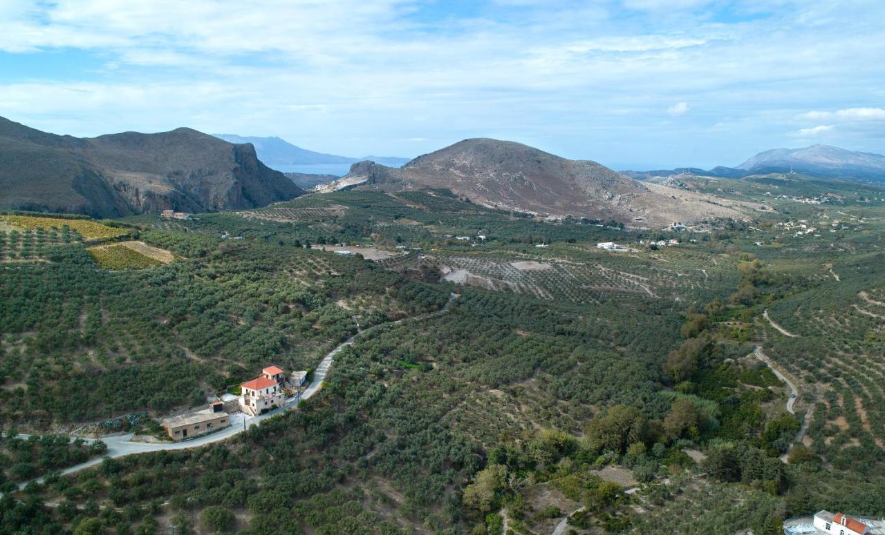 Olive Villas Kria Vrisi  Luaran gambar